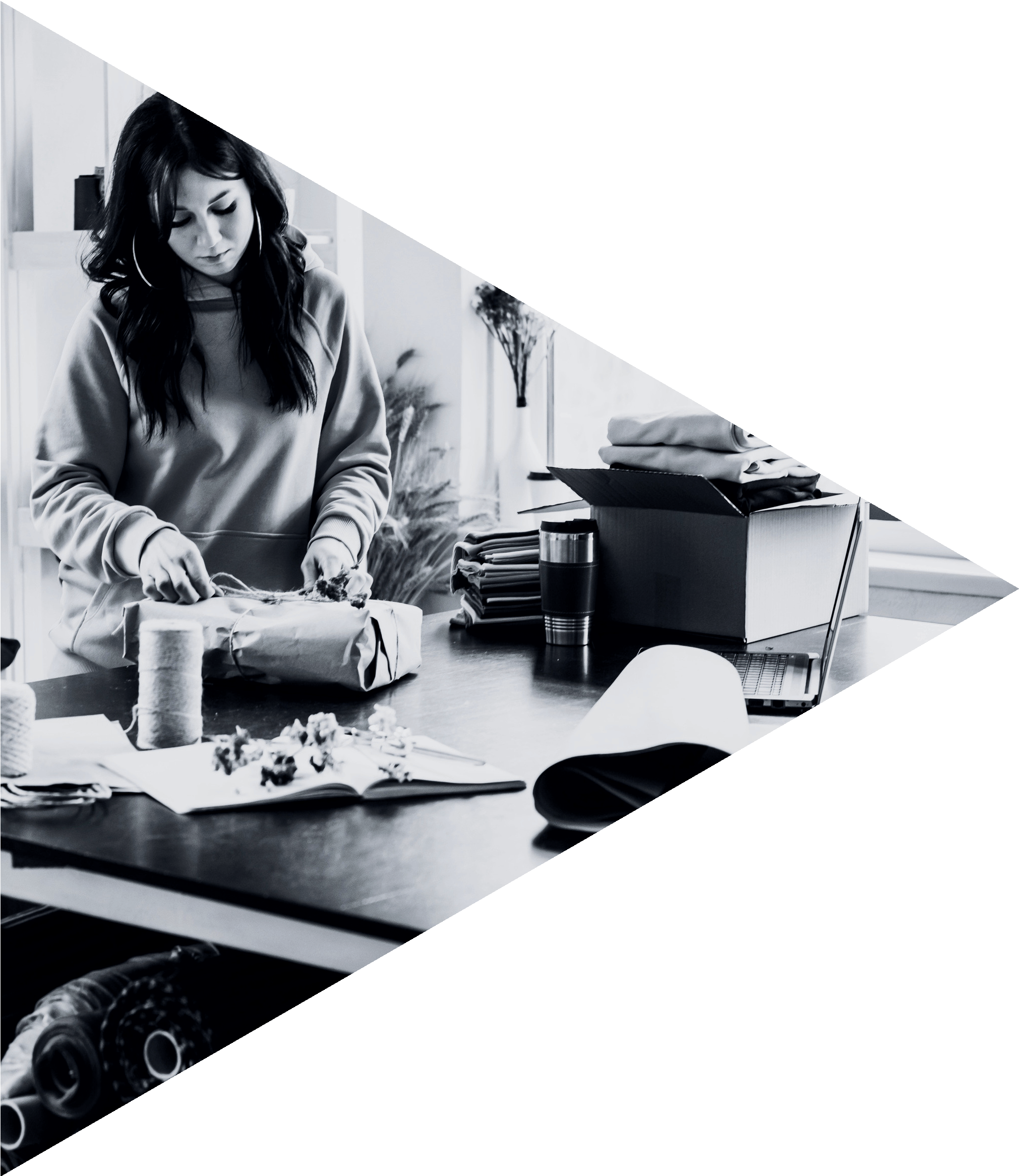 Why Choose FlexSell Dropshipping Model